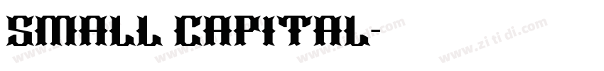 SMALL CAPITAL字体转换